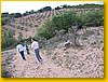 Camino del Pino