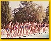 piscina_de_huete_verano_1985.jpg