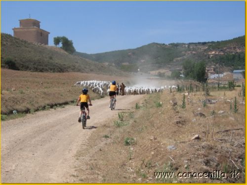 18bicicletada180605.jpg