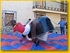 toromecanico02.jpg