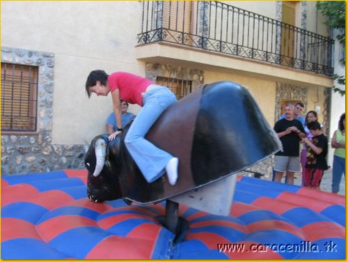 toromecanico03.jpg