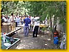 imgp1162.jpg