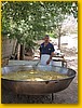 paella02.jpg
