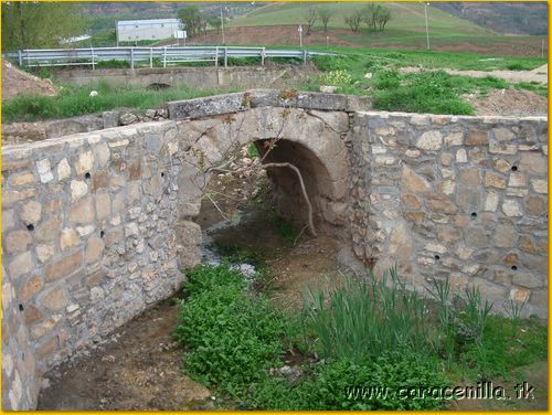 caraceprmv06_005.jpg