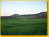 caraceprmv06_013.jpg