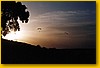 parapente.jpeg